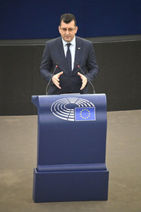 Plenartagung über Tiertransporte im EU-Parlament in Straßburg