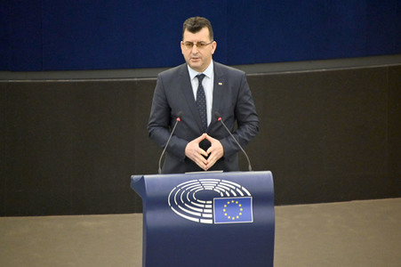 Plenartagung über Tiertransporte im EU-Parlament in Straßburg