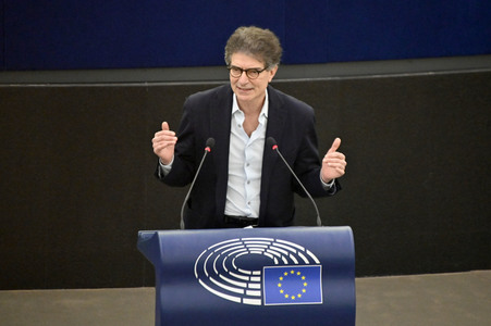 Plenartagung über Tiertransporte im EU-Parlament in Straßburg