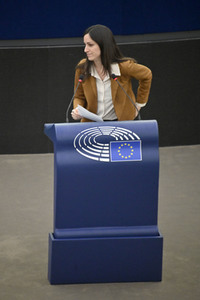 Plenartagung über Tiertransporte im EU-Parlament in Straßburg