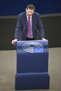 Plenartagung über Tiertransporte im EU-Parlament in Straßburg