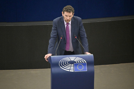 Plenartagung über Tiertransporte im EU-Parlament in Straßburg