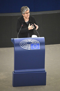 Plenartagung über Tiertransporte im EU-Parlament in Straßburg