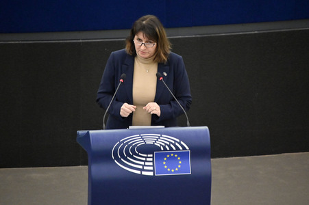 Plenartagung über Tiertransporte im EU-Parlament in Straßburg