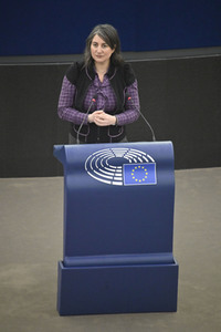 Plenartagung über Tiertransporte im EU-Parlament in Straßburg