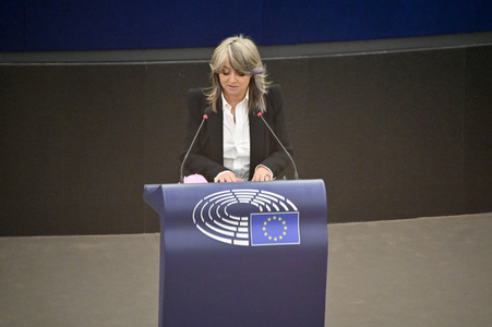 Plenartagung über Tiertransporte im EU-Parlament in Straßburg