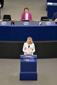 Plenartagung über Tiertransporte im EU-Parlament in Straßburg