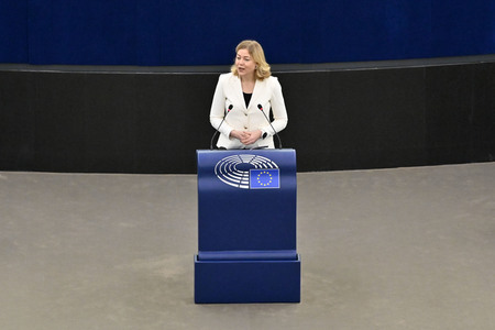 Plenartagung über Tiertransporte im EU-Parlament in Straßburg