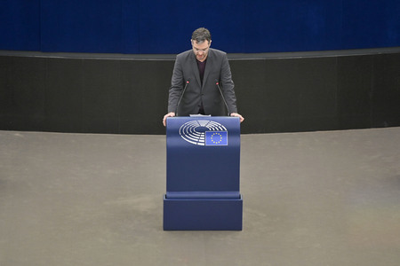 Plenartagung über Tiertransporte im EU-Parlament in Straßburg