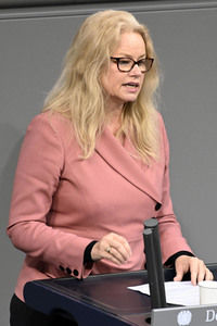 13. Sitzung des Deutschen Bundestages in Berlin