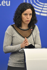 Pressebriefing der Fraktion GUE/NGL im EU-Parlament in Straßburg
