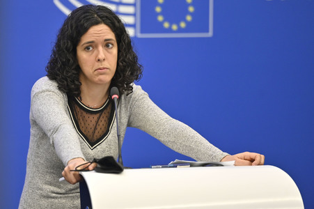 Pressebriefing der Fraktion GUE/NGL im EU-Parlament in Straßburg
