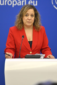 Pressebriefing der Fraktion S&D im EU-Parlament in Straßburg