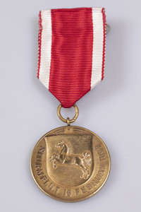 Sturmflut Gedenkmedaille