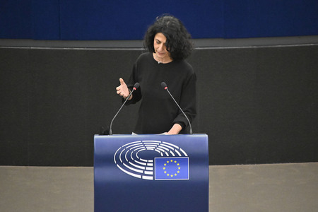 Plenartagung zu den Beziehungen EU-Afrika im EU-Parlament in Straßburg