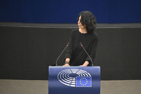 Plenartagung zu den Beziehungen EU-Afrika im EU-Parlament in Straßburg