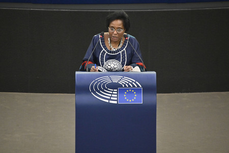 Plenartagung zu den Beziehungen EU-Afrika im EU-Parlament in Straßburg