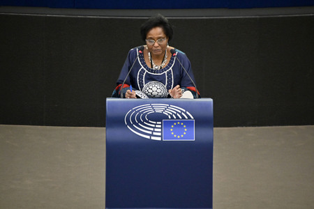 Plenartagung zu den Beziehungen EU-Afrika im EU-Parlament in Straßburg