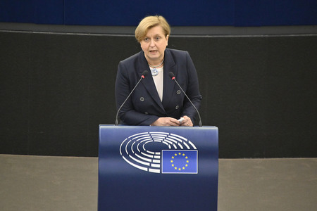 Plenartagung zu den Beziehungen EU-Afrika im EU-Parlament in Straßburg