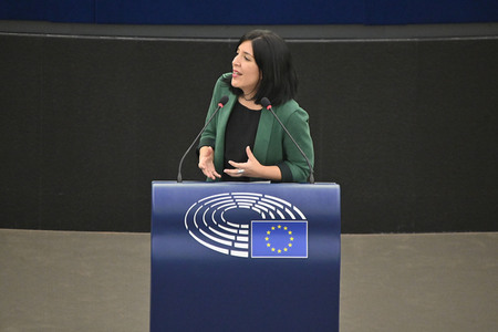 Plenartagung zu den Beziehungen EU-Afrika im EU-Parlament in Straßburg