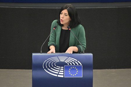 Plenartagung zu den Beziehungen EU-Afrika im EU-Parlament in Straßburg