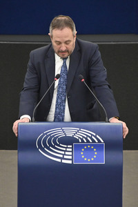 Plenartagung zu den Beziehungen EU-Afrika im EU-Parlament in Straßburg