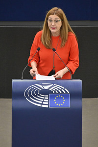 Plenartagung zu den Beziehungen EU-Afrika im EU-Parlament in Straßburg