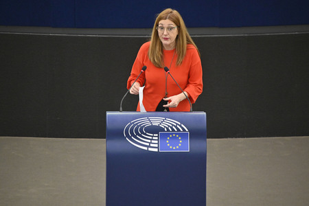 Plenartagung zu den Beziehungen EU-Afrika im EU-Parlament in Straßburg