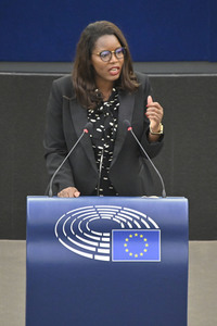 Plenartagung zu den Beziehungen EU-Afrika im EU-Parlament in Straßburg