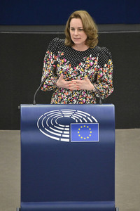 Plenartagung zu den Beziehungen EU-Afrika im EU-Parlament in Straßburg