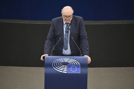Plenartagung zu den Beziehungen EU-Afrika im EU-Parlament in Straßburg