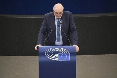 Plenartagung zu den Beziehungen EU-Afrika im EU-Parlament in Straßburg