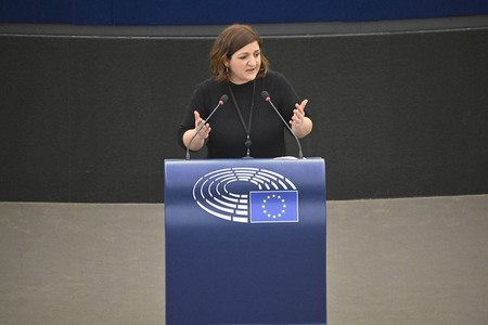 Plenartagung zu den Beziehungen EU-Afrika im EU-Parlament in Straßburg