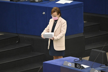 Plenartagung zu den Beziehungen EU-Afrika im EU-Parlament in Straßburg