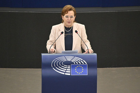 Plenartagung zu den Beziehungen EU-Afrika im EU-Parlament in Straßburg
