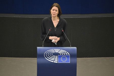 Plenartagung zu den Beziehungen EU-Afrika im EU-Parlament in Straßburg