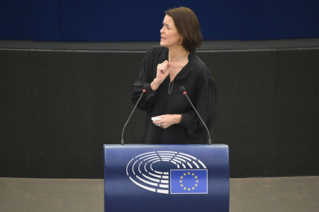 Plenartagung zu den Beziehungen EU-Afrika im EU-Parlament in Straßburg
