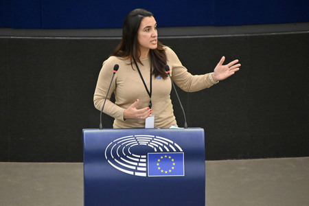 Plenartagung zu den Beziehungen EU-Afrika im EU-Parlament in Straßburg