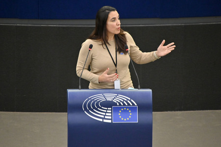 Plenartagung zu den Beziehungen EU-Afrika im EU-Parlament in Straßburg