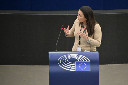 Plenartagung zu den Beziehungen EU-Afrika im EU-Parlament in Straßburg