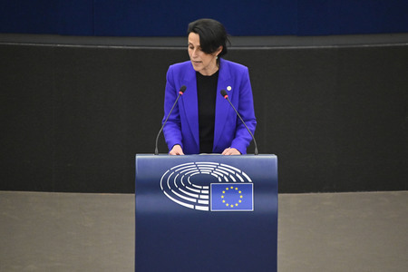 Plenartagung zu den Beziehungen EU-Afrika im EU-Parlament in Straßburg