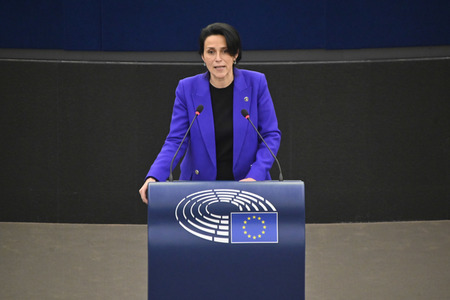 Plenartagung zu den Beziehungen EU-Afrika im EU-Parlament in Straßburg