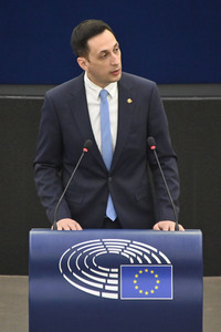 Plenartagung über den Schutz der Arbeitnehmer im EU-Parlament in Straßburg