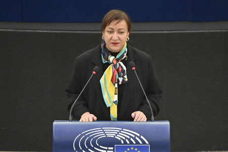 Plenartagung über den Schutz der Arbeitnehmer im EU-Parlament in Straßburg