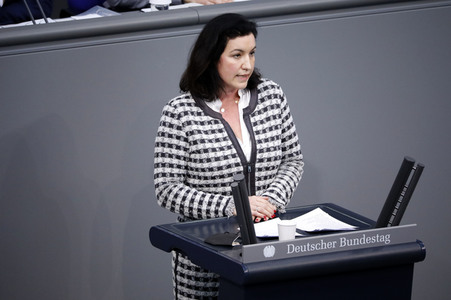 17. Sitzung des Deutschen Bundestages in Berlin