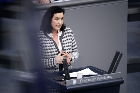 17. Sitzung des Deutschen Bundestages in Berlin