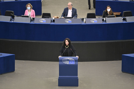 Plenartagung zu extremen Wetterphänomenen im EU-Parlament in Straßburg