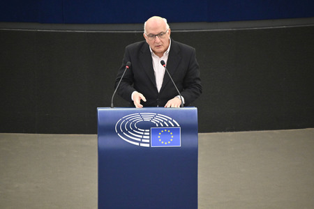 Plenartagung zur Todestrafe im Iran im EU-Parlament in Straßburg