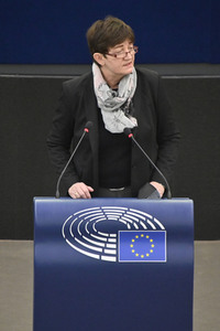 Plenartagung zur Todestrafe im Iran im EU-Parlament in Straßburg