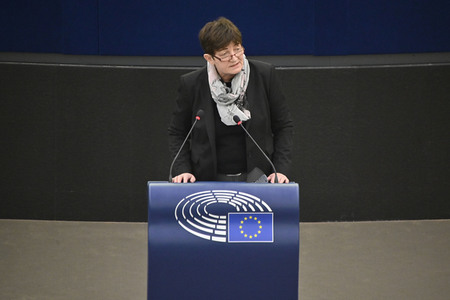 Plenartagung zur Todestrafe im Iran im EU-Parlament in Straßburg